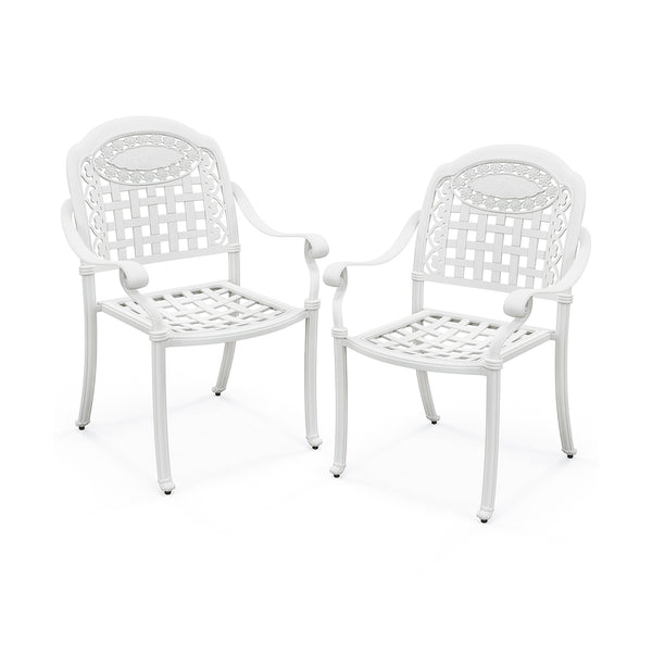 Cast Aluminum Patio Chairs Set of 2 with Armrests